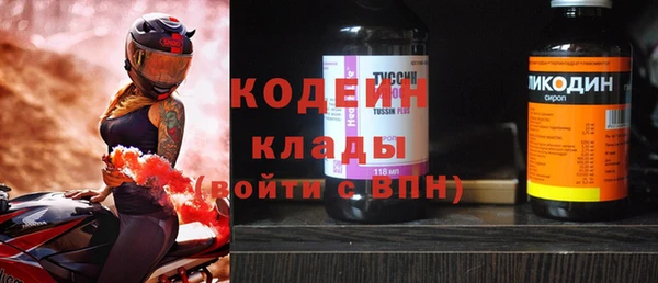 индика Майский