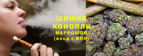 индика Майский