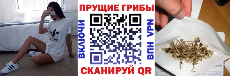 Галлюциногенные грибы мухоморы  маркетплейс состав  Нерехта 